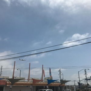 成人免费看片❌❌❌39在线
